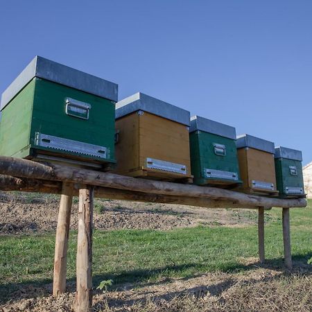 Cascina Rueral Villa Montafia Kültér fotó