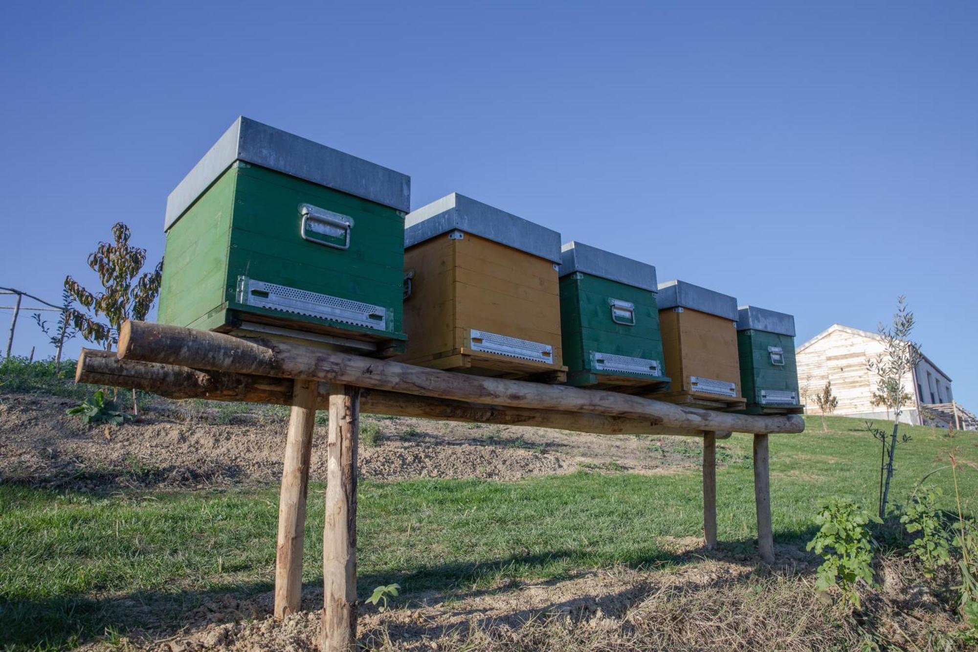 Cascina Rueral Villa Montafia Kültér fotó